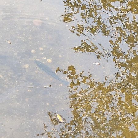 Cabana El Rio La Grande Zacatlán Kültér fotó