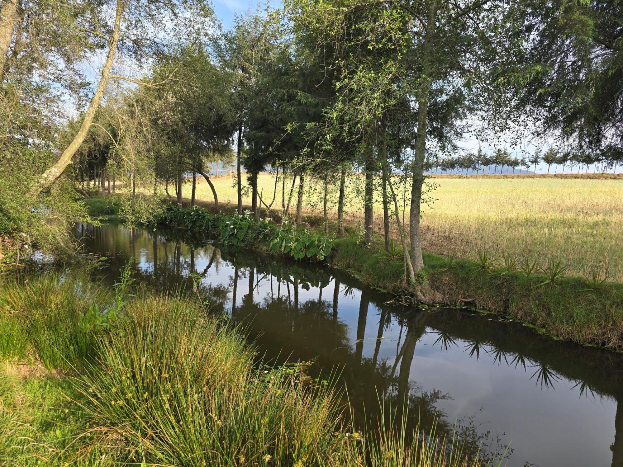 Cabana El Rio La Grande Zacatlán Kültér fotó